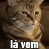 lá vem