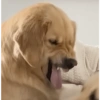 MEMES & Reações 7