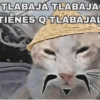 😎 STICKERS SHITPOST 24 🤙 14
