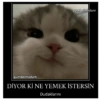 gumbalmodum gumbalmodum DİYOR Kİ NE YEMEK İSTERSİN Dudaklarını