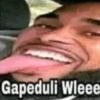 Gapeduli Wleee