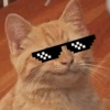 📌🌈🐈✨️Gatos Funny Mood✨️🐈‍⬛🌈 27
