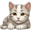 🐱 Pet Cats | Emoji Style 15