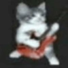 Gatinhos 4k ultra hd 5