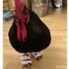 Galinha Fofa Reações 🐔 9