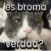 es broma verdad?