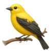 Emoji iPhone Yellow 19