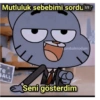 Mutluluk sebebimi sordu 2/2 umbalmodum re BALL Seni gösterdim