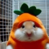 Mascotas  7