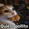 🩷😍Gatitos Con Frases🥴🐈‍⬛ 13
