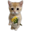 🌻💐 Желтые цветы 3 💐🌻 6