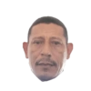 Gato 6