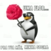 UMA FLOR... Stock PRA TUA MÃE, MINHA SOGRA