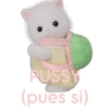 PUSSY (pues si)