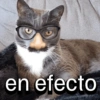 en efecto