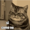 si como no