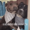 53 52 535 53 sábado de novios
