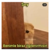 gumbalmodum Şey gumbalmodum Benimle biraz ilgilenirmisin 1/2