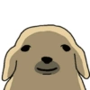 Nudaeng dog meme 13