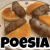 POESIA