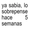 ya sabia, lo sobrepense hace semanas 5