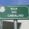 NOVAS FRASES MT BOAS 🤣 10