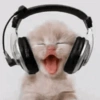 🎧 Music Life 🎧 9