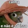 Friend of Bae calma e não é só isso