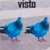 🚨RANDOM para ti 3🫵🏻😎 24