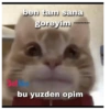 Love yani aşk 13