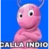 Mis pegatinas 19