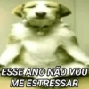 ESSE ANO NÃO VOU ME ESTRESSAR