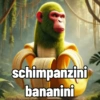schimpanzini bananini