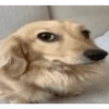 Não quero papo 😜 7