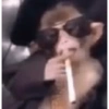 Macaquinhos 17