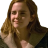 HarryPotter 11