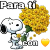 Para tí con carolszdio