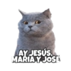 Michis memes 😹😼 5