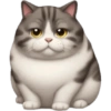 🐱 Pet Cats | Emoji Style 14