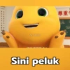 DINO BUCIN 11
