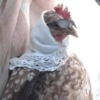 Galinha Fofa Reações 🐔 7