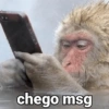 chego msg