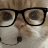 Kucing Anomali 4 15