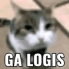 Kucing sigma 7