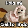 Hola mi C= cielito lindo