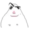 Hamster 6 5