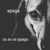 OS MELHORES SHITPOST 5