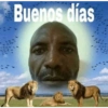 Pal grupo 🤙 13