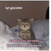 Love yani aşk 29