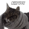 AHI VOY